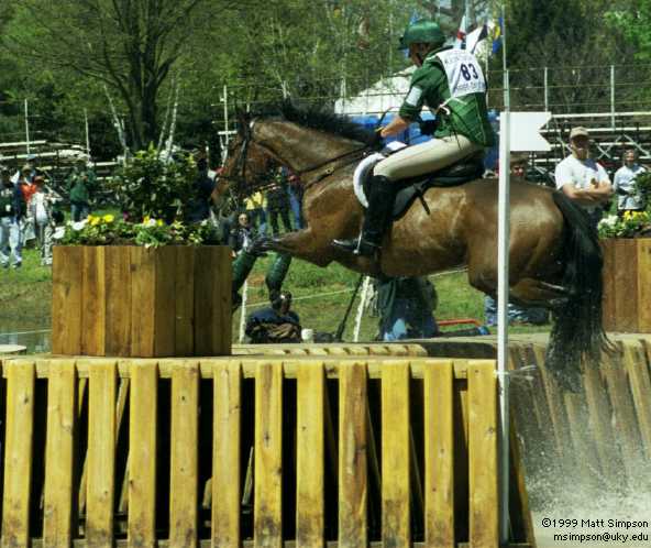 image/218.jpg, 592 x 498, 43.3K, Amy Tryon