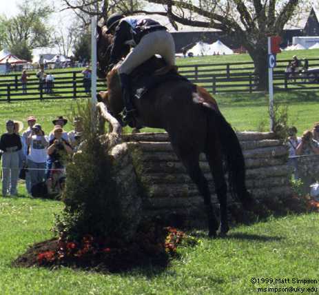 image/302.jpg, 463 x 428, 29.3K, Mike Plumb