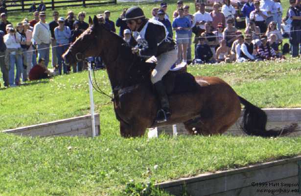 image/304.jpg, 615 x 402, 37.4K, Mike Plumb