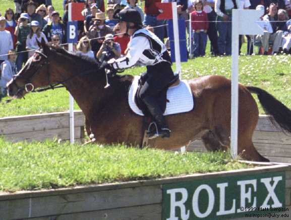 image/313.jpg, 577 x 436, 34.8K, Tiffani Loudon