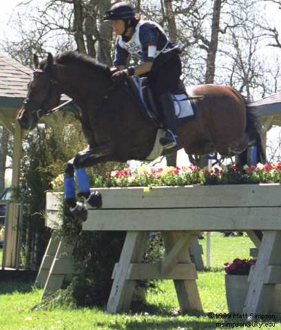 image/325.jpg, 408 x 479, 28.2K, Melissa Beardsley