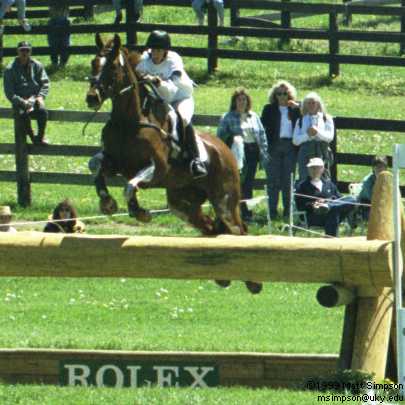 image/205.jpg, 405 x 405, 25.2K, Katie Parker