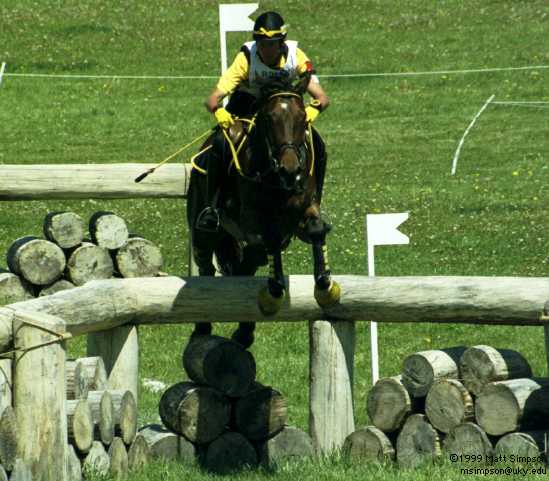 image/223.jpg, 549 x 481, 37.2K, Penny Rowland