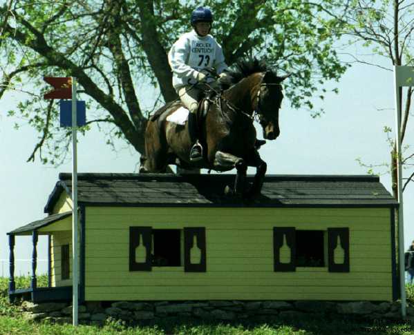 image/225.jpg, 599 x 486, 38.6K, Kimberly Vinoski