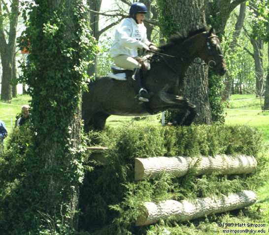 image/226.jpg, 546 x 478, 42.4K, Kimberly Vinoski