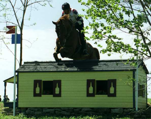 image/229.jpg, 595 x 467, 37.5K, Yves Landry