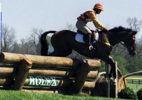 image/309.jpg, 565 x 399, 23.1K, Beale Morris