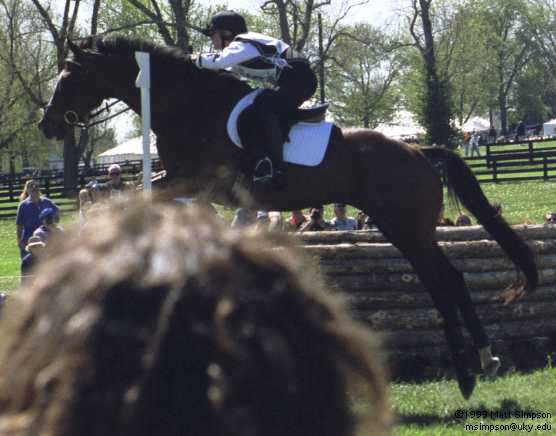 image/312.jpg, 556 x 436, 27.1K, Tiffani Loudon