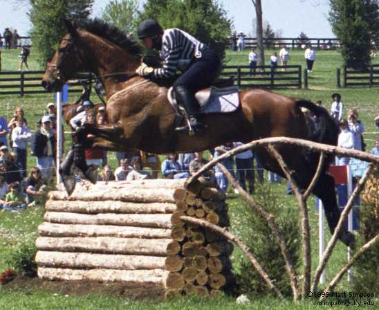 image/315.jpg, 548 x 448, 38.7K, Gayle Molander