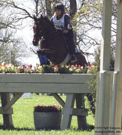 image/326.jpg, 408 x 451, 26.6K, Melissa Beardsley