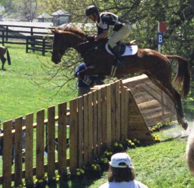 image/329.jpg, 396 x 384, 21.3K, Mark Todd