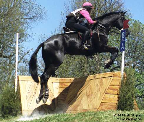 image/334.jpg, 489 x 415, 33.2K, Chelan Kozak